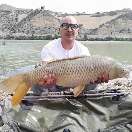 R U Ready Fishing, River Ebro Mequinenza Exteriér fotografie