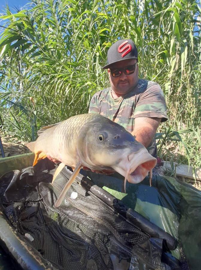R U Ready Fishing, River Ebro Mequinenza Exteriér fotografie