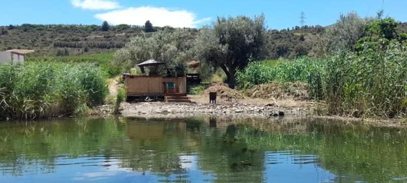 R U Ready Fishing, River Ebro Mequinenza Exteriér fotografie