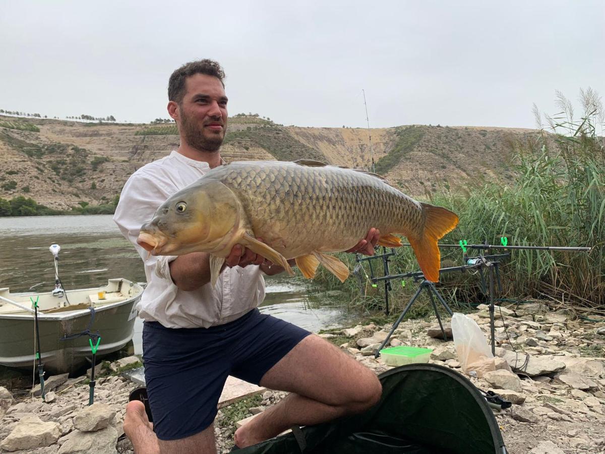 R U Ready Fishing, River Ebro Mequinenza Exteriér fotografie