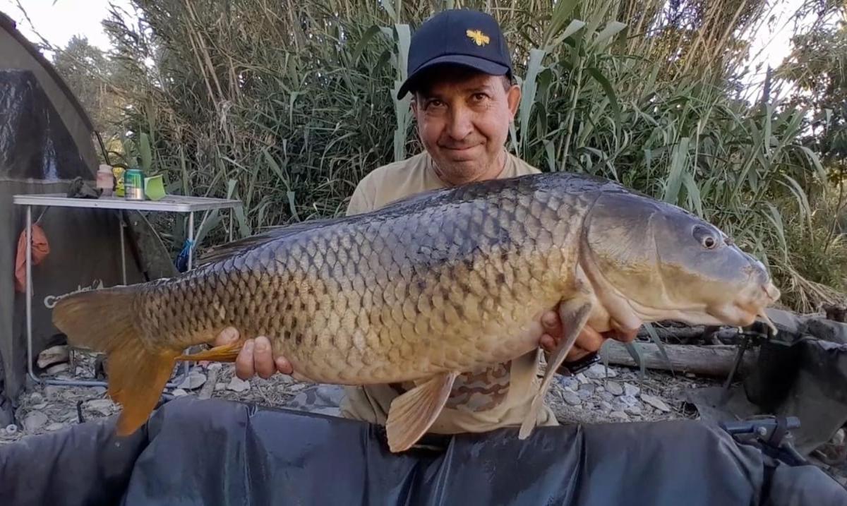 R U Ready Fishing, River Ebro Mequinenza Exteriér fotografie